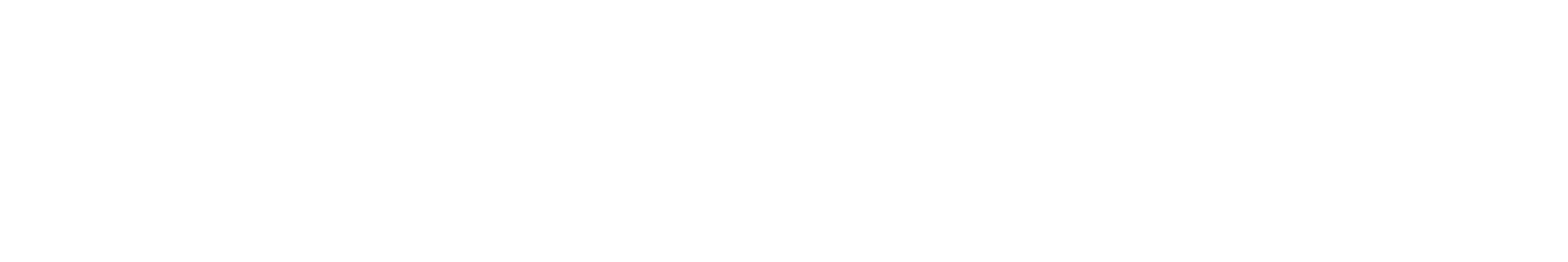 Control Infotech White Logo